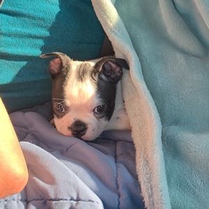 Meet your Posher, Melissa